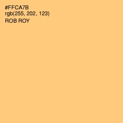 #FFCA7B - Rob Roy Color Image